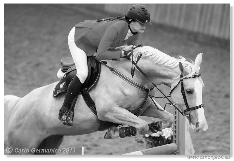 Zimn� liga 2013 - III. kvalifik�cia