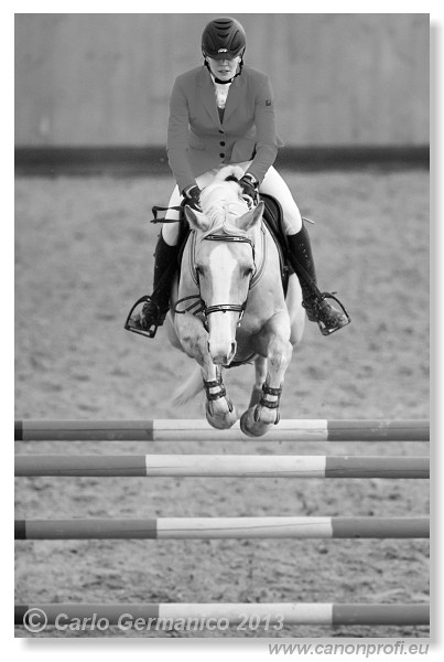 Zimn� liga 2013 - III. kvalifik�cia