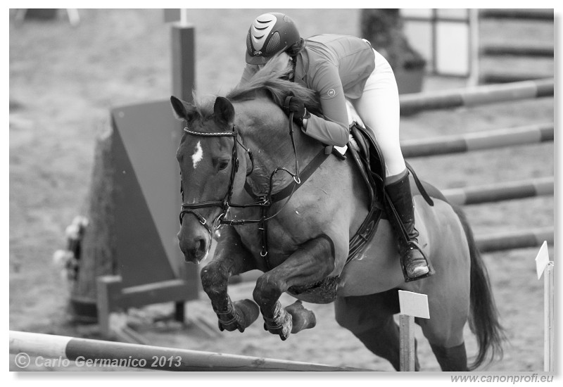 Zimn� liga 2013 - III. kvalifik�cia