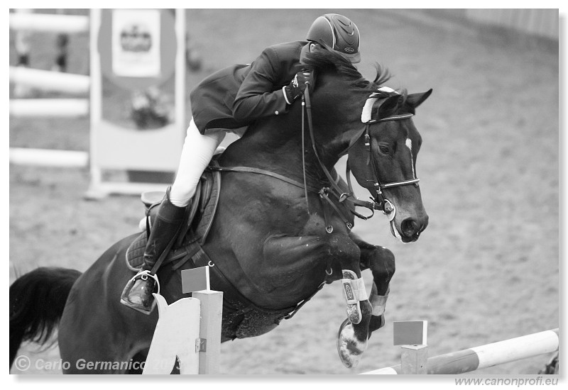 Zimn� liga 2013 - III. kvalifik�cia