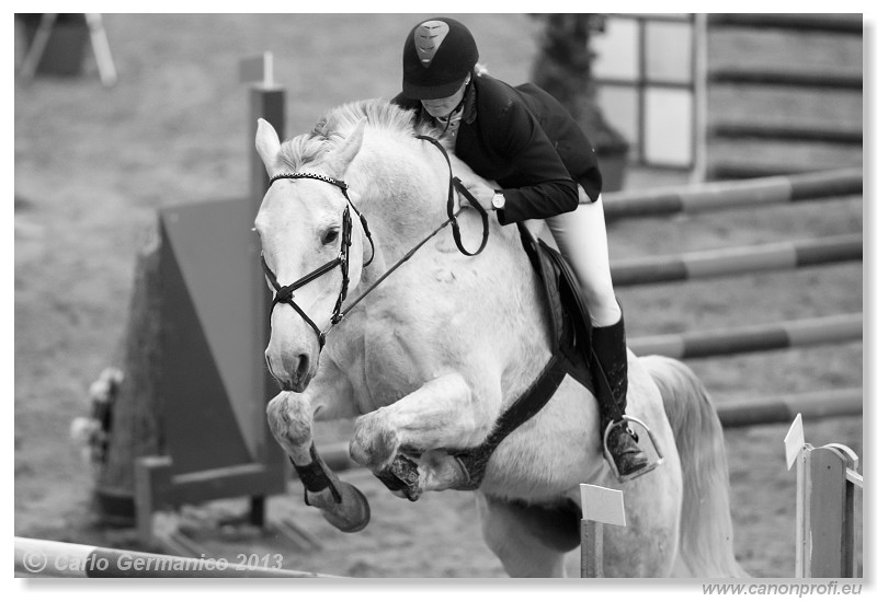 Zimn� liga 2013 - III. kvalifik�cia