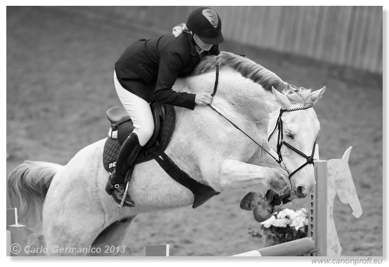 Zimn� liga 2013 - III. kvalifik�cia