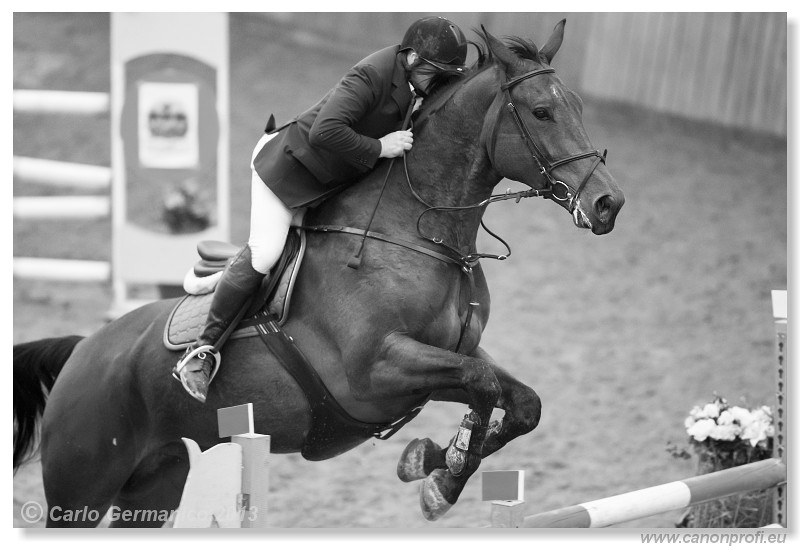 Zimn� liga 2013 - III. kvalifik�cia