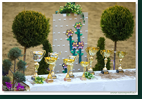 Zimn� liga 2013 - fin�le