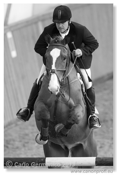 Zimn� liga 2013 - fin�le