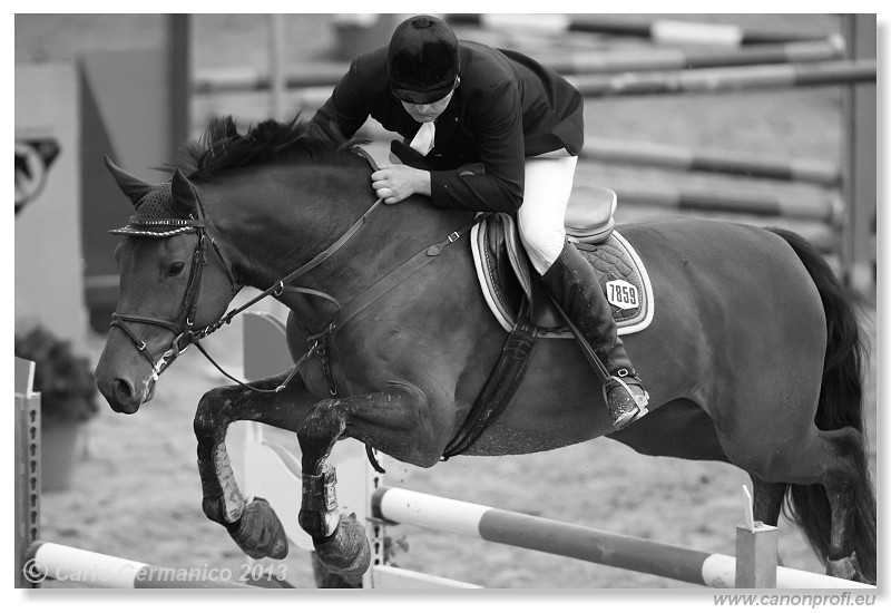 Zimn� liga 2013 - fin�le