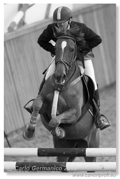 Zimn� liga 2013 - fin�le