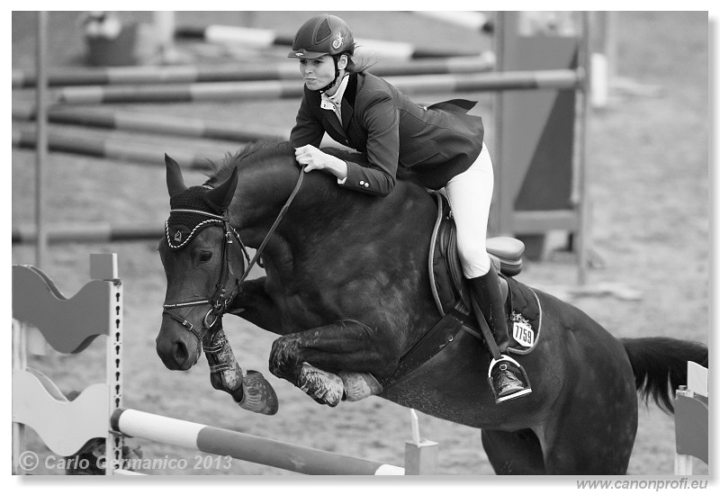 Zimn� liga 2013 - fin�le