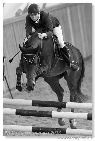 Zimn� liga 2013 - fin�le