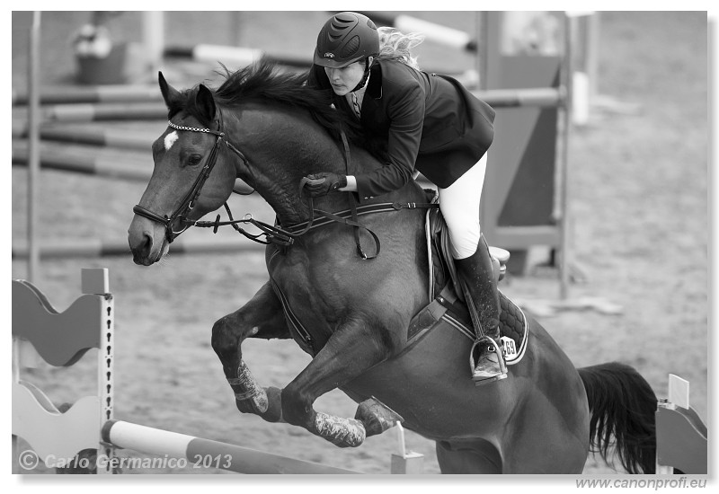 Zimn� liga 2013 - fin�le