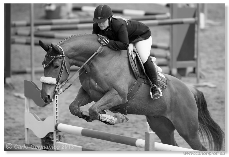 Zimn� liga 2013 - fin�le