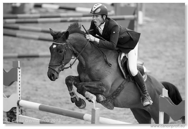 Zimn� liga 2013 - fin�le