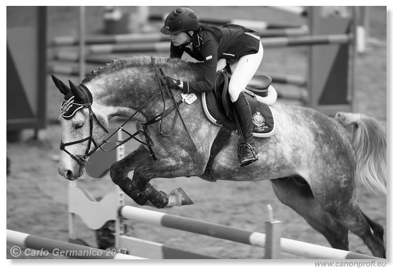 Zimn� liga 2013 - fin�le