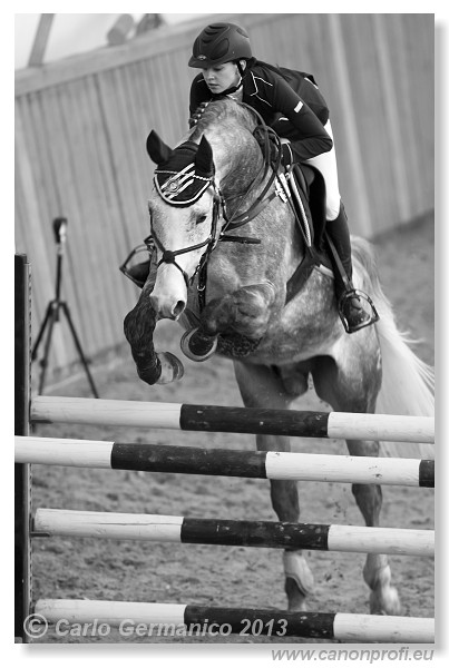 Zimn� liga 2013 - fin�le