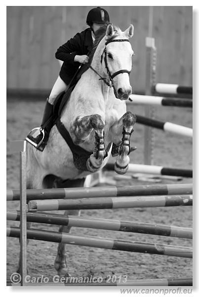 Zimn� liga 2013 - fin�le