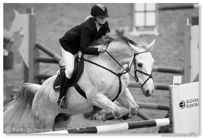 Zimn� liga 2013 - fin�le