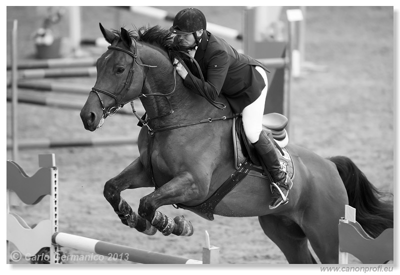 Zimn� liga 2013 - fin�le