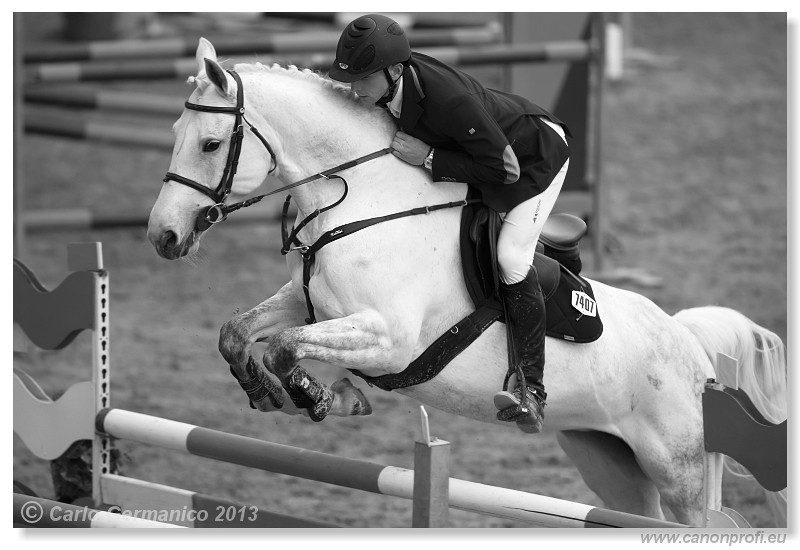 Zimn� liga 2013 - fin�le