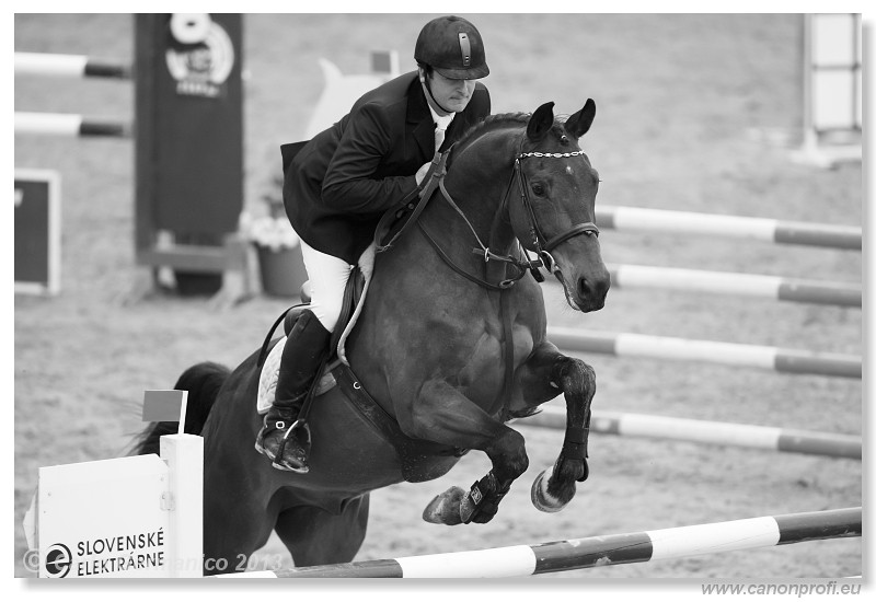 Zimn� liga 2013 - fin�le