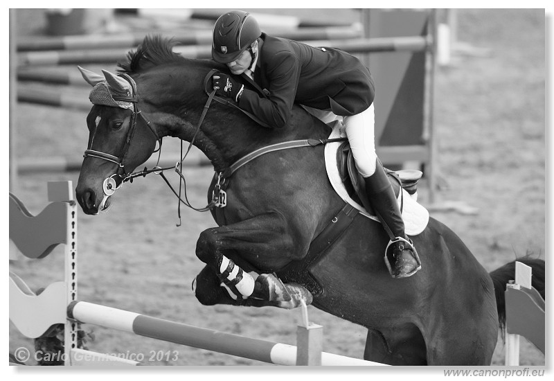 Zimn� liga 2013 - fin�le