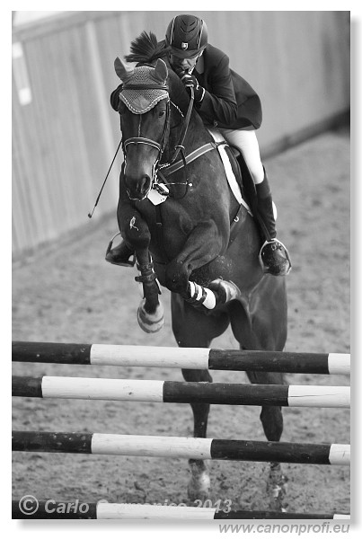 Zimn� liga 2013 - fin�le