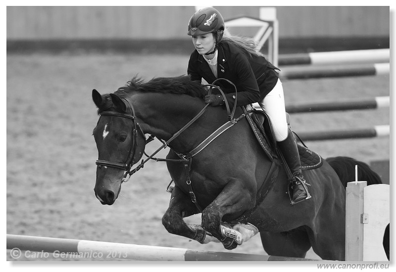 Zimn� liga 2013 - fin�le