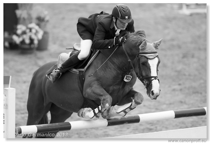 Zimn� liga 2013 - fin�le