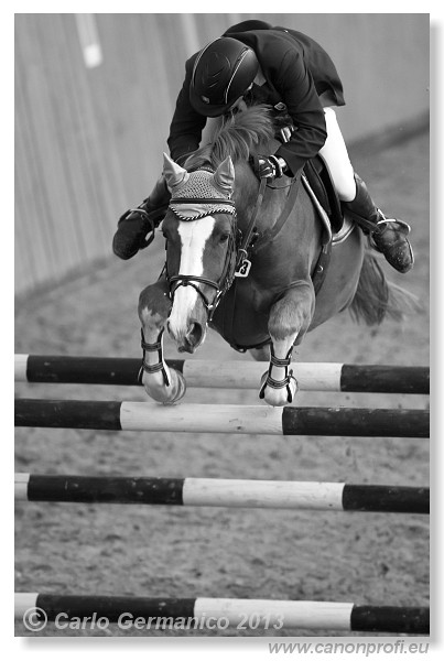 Zimn� liga 2013 - fin�le