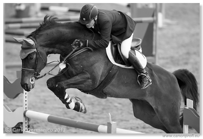 Zimn� liga 2013 - fin�le