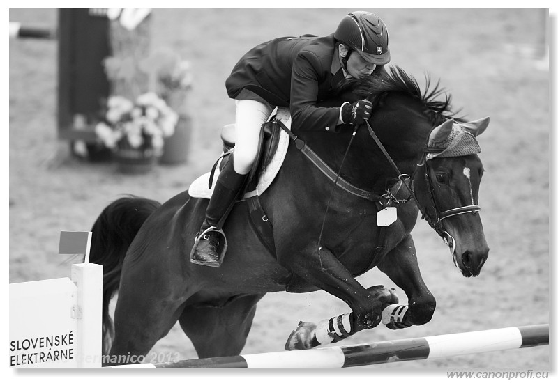 Zimn� liga 2013 - fin�le