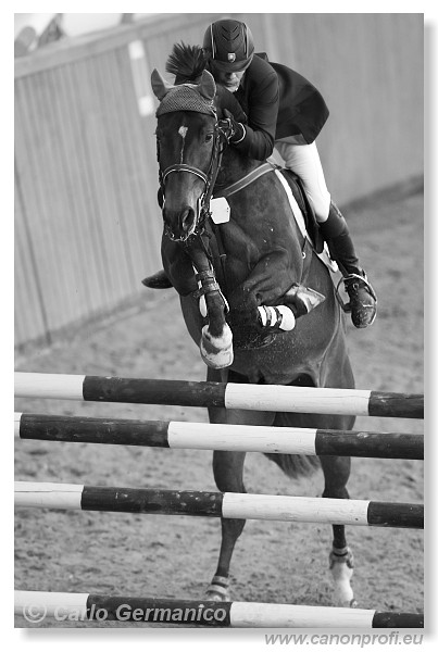 Zimn� liga 2013 - fin�le