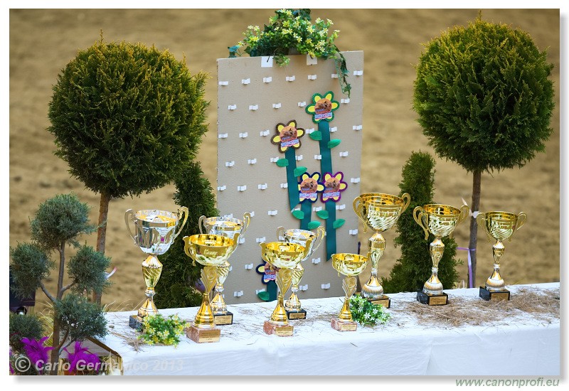 Zimn� liga 2013 - fin�le