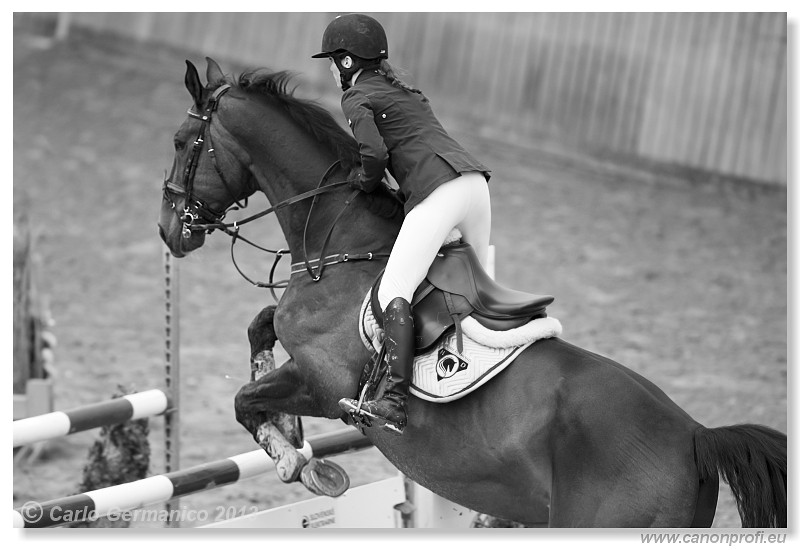 Zimn� liga 2013 - fin�le