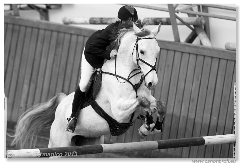 Zimn� liga 2013 - fin�le