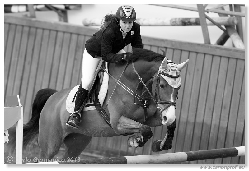 Zimn� liga 2013 - fin�le