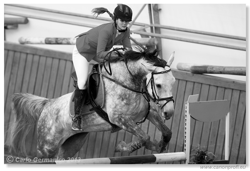 Zimn� liga 2013 - fin�le