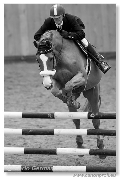 Zimn� liga 2013 - fin�le