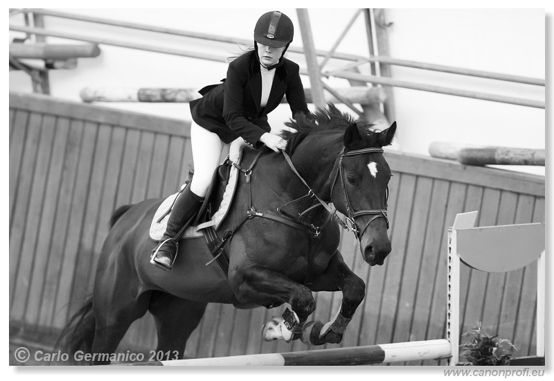 Zimn� liga 2013 - fin�le