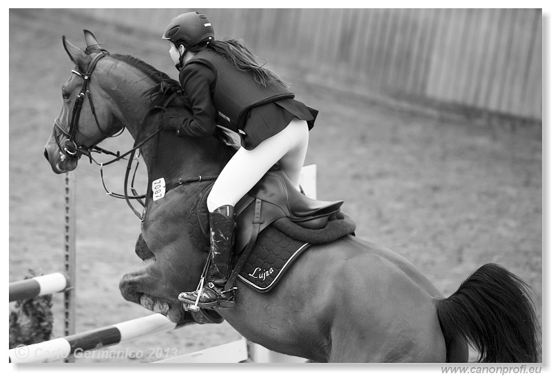 Zimn� liga 2013 - fin�le