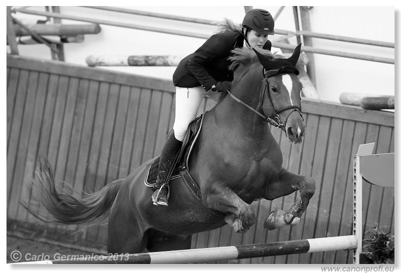 Zimn� liga 2013 - fin�le