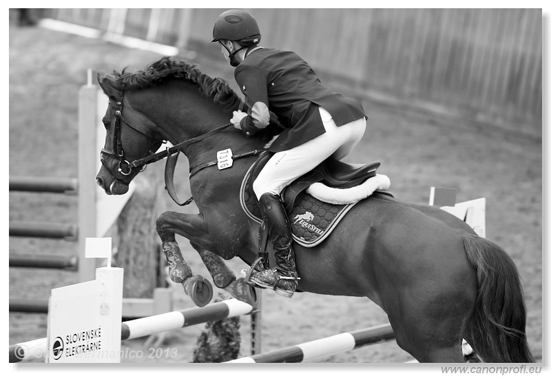 Zimn� liga 2013 - fin�le