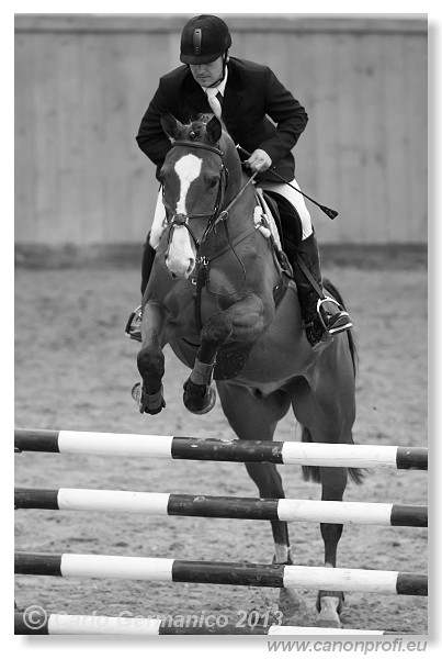 Zimn� liga 2013 - fin�le