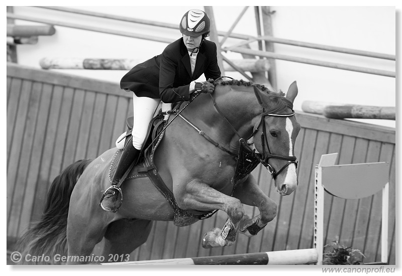 Zimn� liga 2013 - fin�le