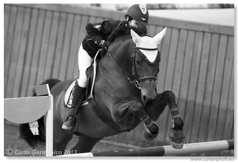 Zimn� liga 2013 - fin�le