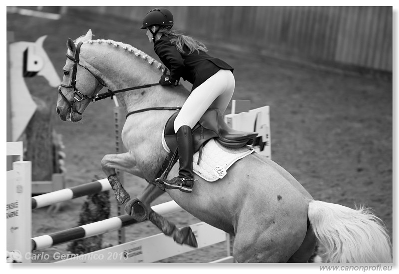 Zimn� liga 2013 - fin�le