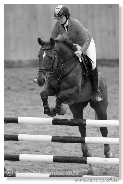 Zimn� liga 2013 - fin�le