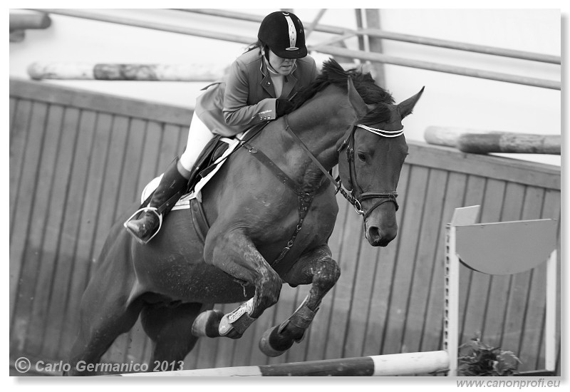 Zimn� liga 2013 - fin�le