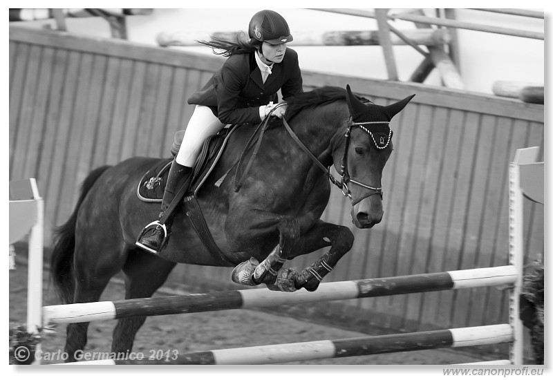 Zimn� liga 2013 - fin�le