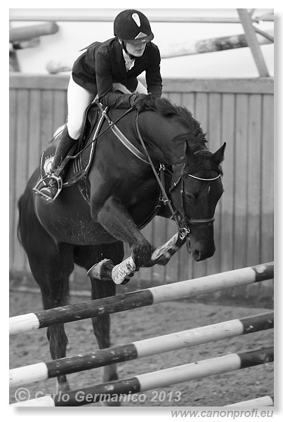 Zimn� liga 2013 - fin�le