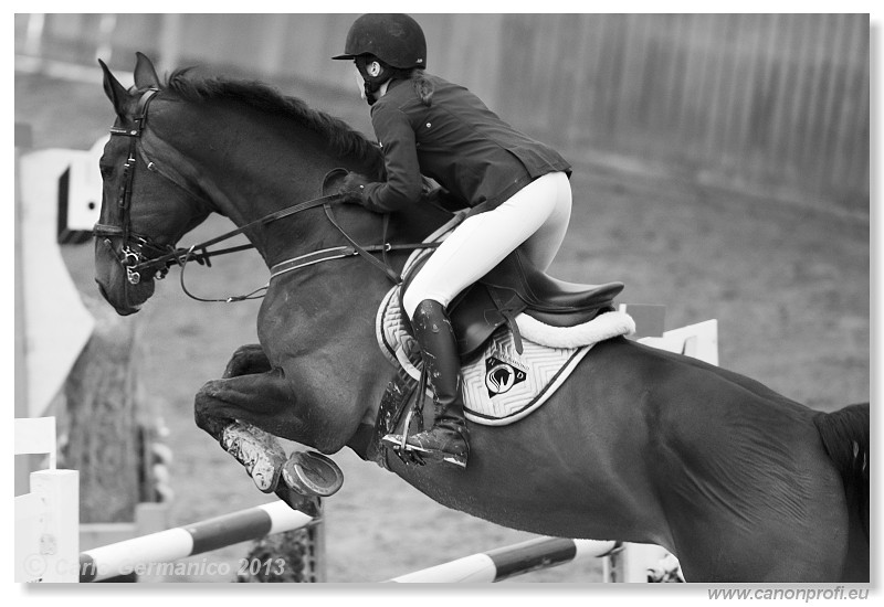 Zimn� liga 2013 - fin�le